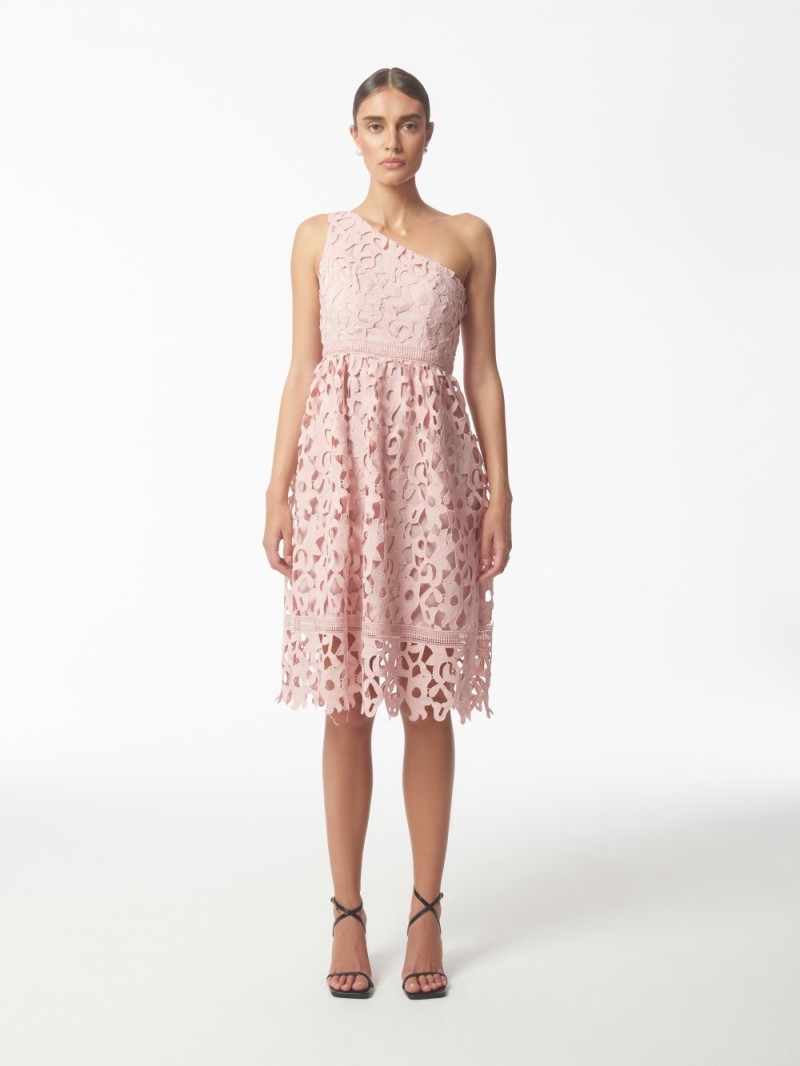 06.09.23 SOUR FIGS FW6509