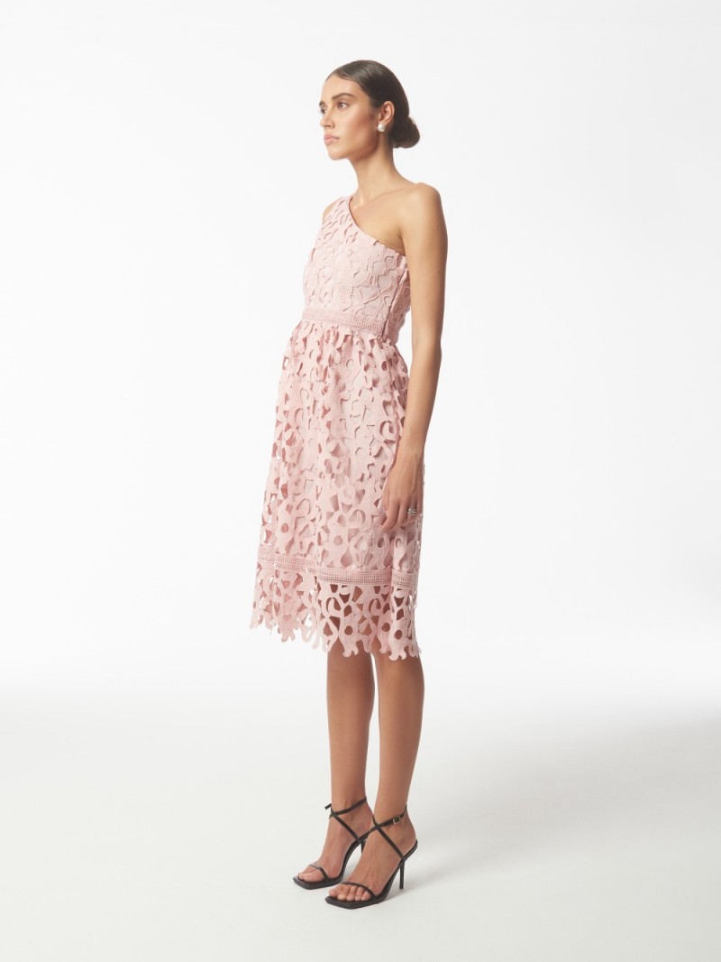 06.09.23 SOUR FIGS FW6525
