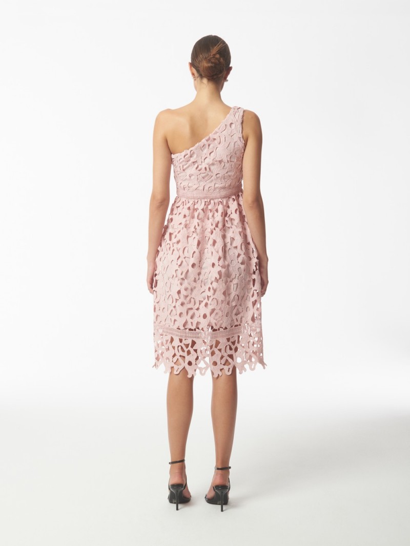 06.09.23 SOUR FIGS FW6541