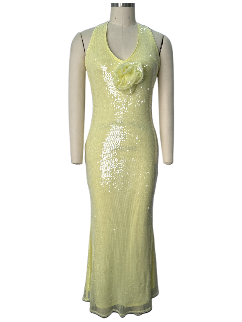 dress2 (3)